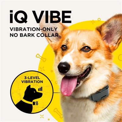 Iq pet collar online