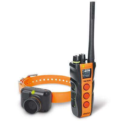 Dogtra t&b best sale dual